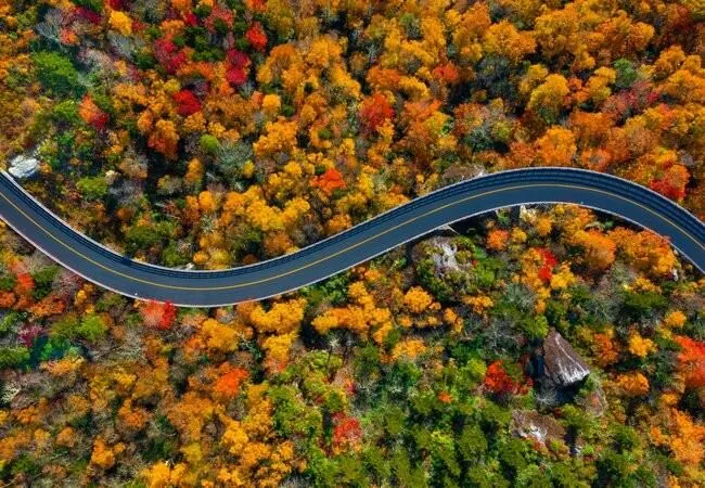 Blue Ridge Parkway Plateau Section motorcycle guide showing a smooth two-lane road through pastoral high-country hills in Virginia.